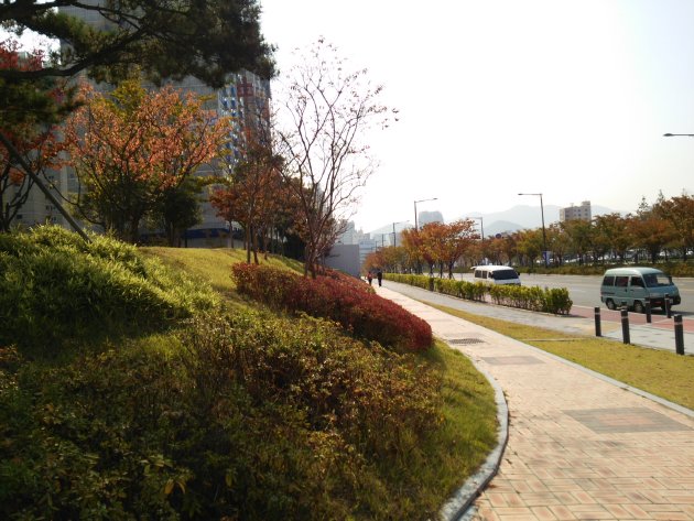 楊亭ライオンズ公園の外側の歩道